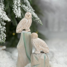 Load image into Gallery viewer, Snowy Owl
