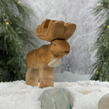 Load image into Gallery viewer, Polaris (Reindeer)