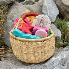 Load image into Gallery viewer, Tide Pool Collection