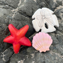 Load image into Gallery viewer, Tide Pool Collection