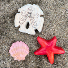 Load image into Gallery viewer, Tide Pool Collection