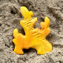 Load image into Gallery viewer, Fire Coral