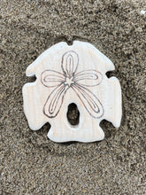 Load image into Gallery viewer, Tide Pool Collection