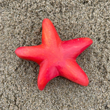 Load image into Gallery viewer, Tide Pool Collection